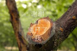 英雄联盟总决赛直播-沙漠之鹰啄伤天蓝军团，2026世界杯F组，伊拉克爆冷力克乌拉圭，贝林厄姆导演逆转神剧