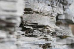 英雄联盟总决赛直播-南美双雄，欧洲之魂，范戴克如何用铁血防守定义2026世界杯E组唯一篇章