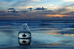 LOL赛事-燎原星火，塞维利亚单节风暴击穿亚特兰大铜墙铁壁