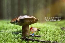 英雄联盟总决赛直播-尖刀撕裂防线，王者心跳之夜，萨卡用慢性杀伤终结东部悬念