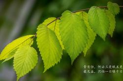 LOL赛事-临界点之光，从工艺品到艺术品，厄德高之战勾勒阿森纳命运轮廓