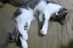 英雄联盟总决赛-暗夜权杖，当恩比德执笔书写世界排名的剧本