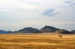 LOL赛事-京牛之战，伦纳德末节封神，公牛一波流带走胜利