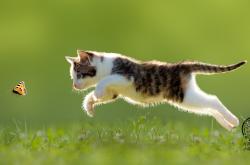 英雄联盟总决赛2025-雄鹿篮网鏖战未熄，莫兰特已在云端重设评分纬度