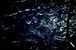 英雄联盟总决赛时间-灰熊对阵公牛，切特·霍姆格伦如何完成一场技术流高阶教学