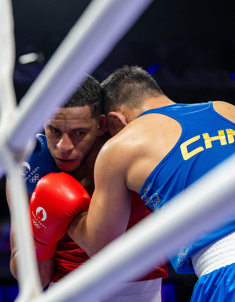 关于土耳其运动员在拳击赛场上大放异彩的信息