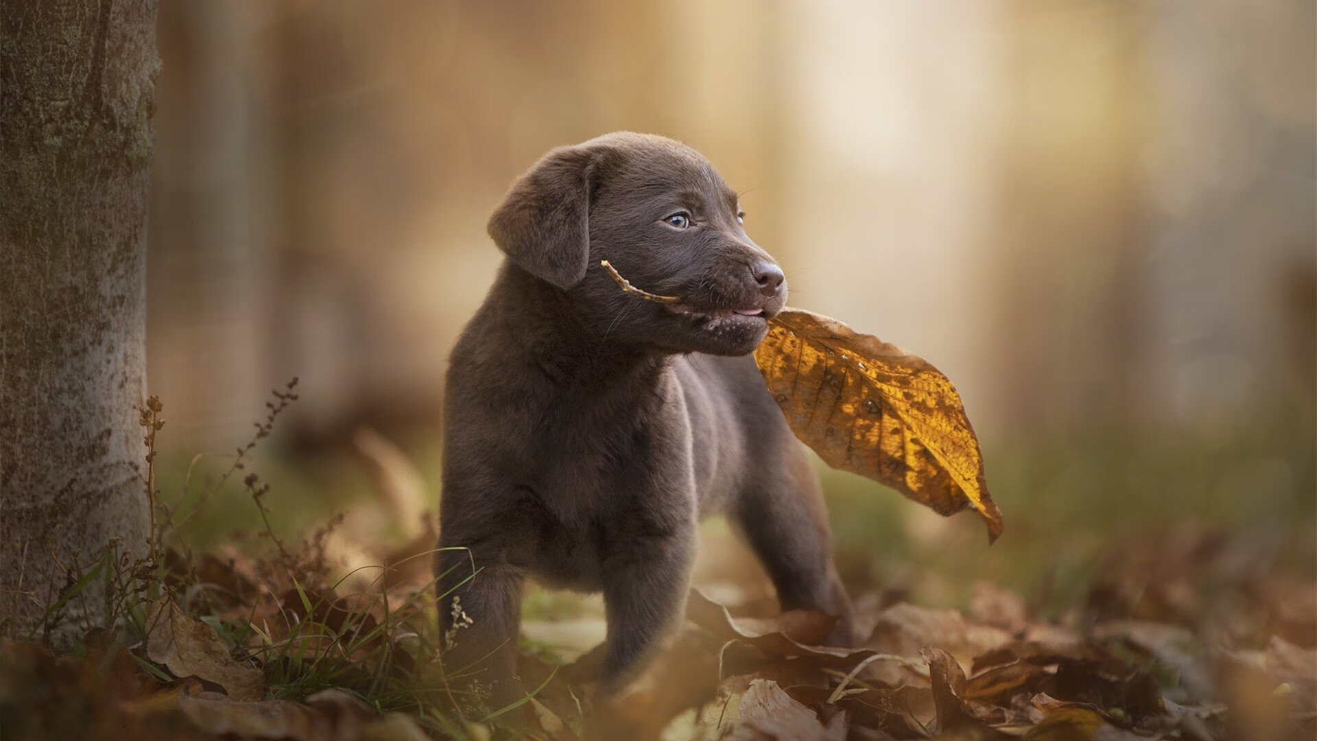 隔空对话,上海的团队呐喊与金州的个人诗篇