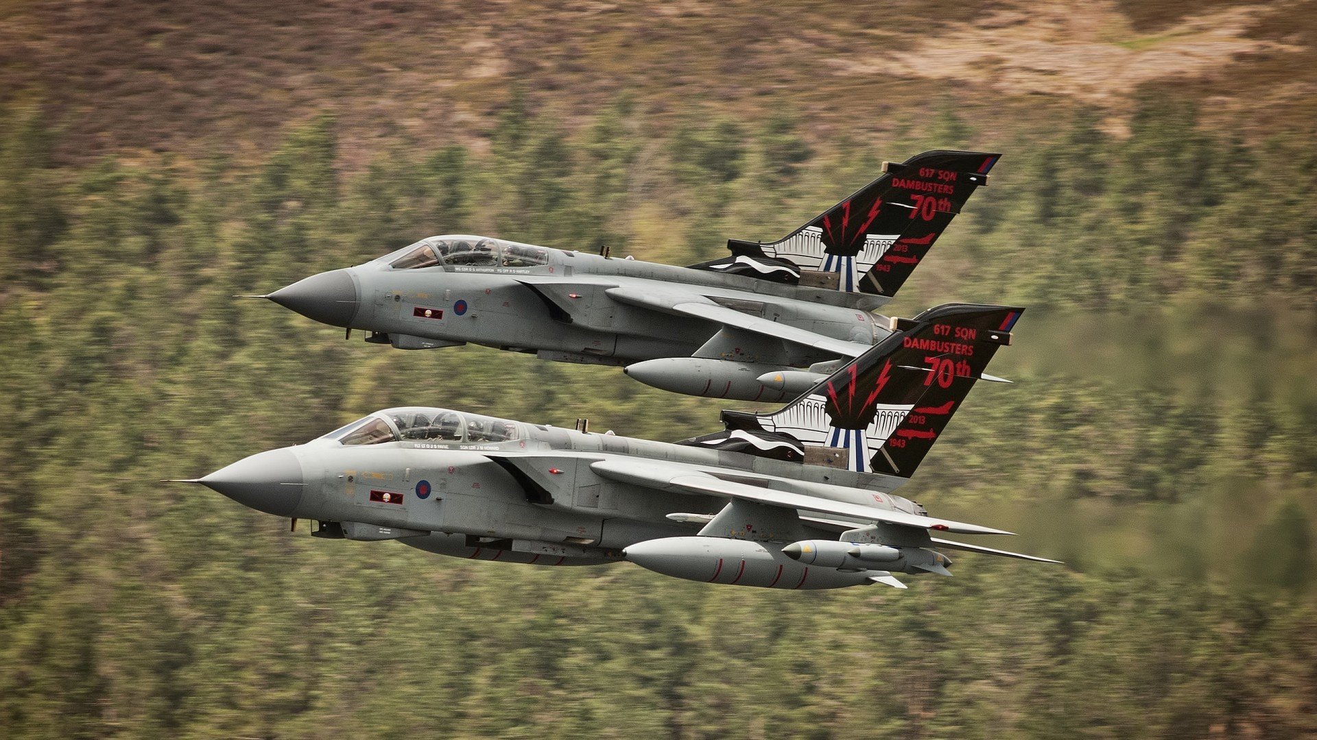 狂野天赋难敌冷酷纪律，灰熊季后赛首战力擒森林狼