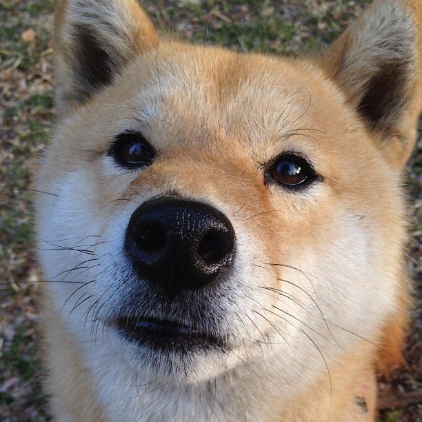 被算法遗忘的苏亚雷斯,即将与金元巨人决战旧欧洲