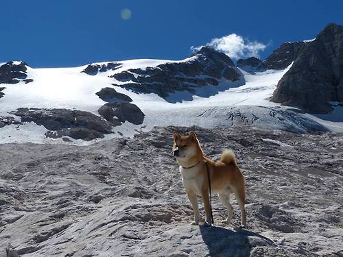 生死战中的逆袭,骑士绝地反击,逆转马刺夺西决焦点战胜利