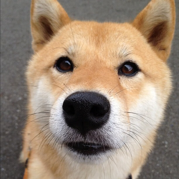 韩希对决中的巴西风暴,法比尼奥如何成为颠覆战局的关键先生