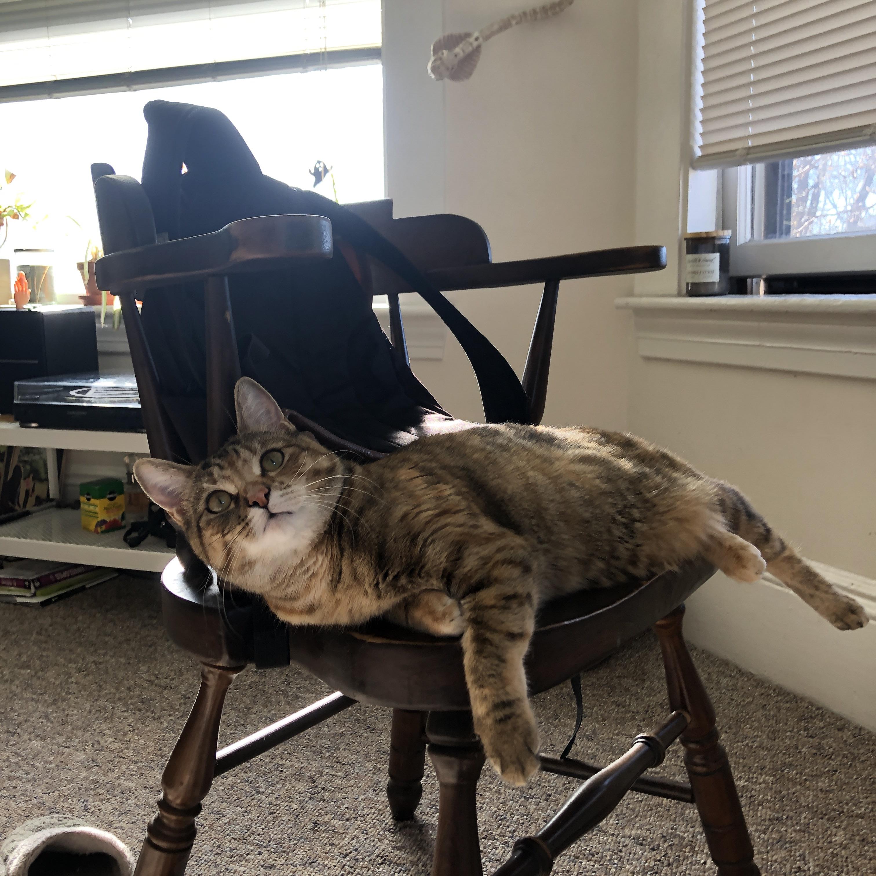 绿茵棋盘,当芬兰王车易位,末节带走埃及的沙漏