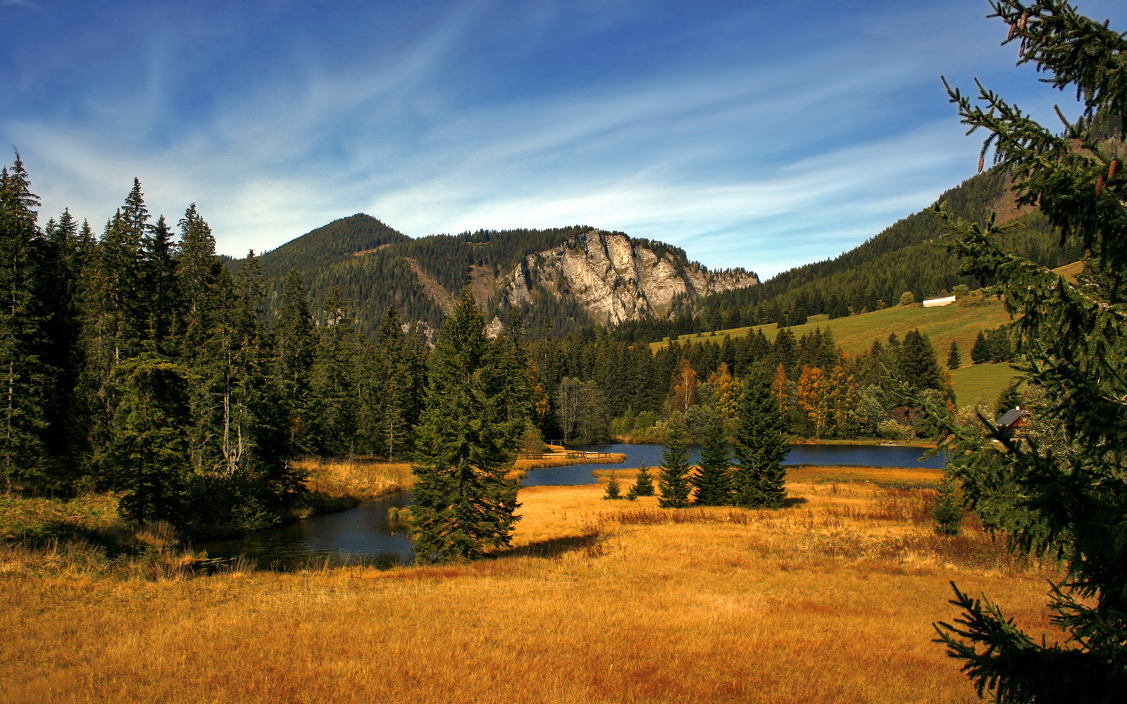 福克斯执棒，当浙江队遇见公牛，他的节奏就是唯一的乐章