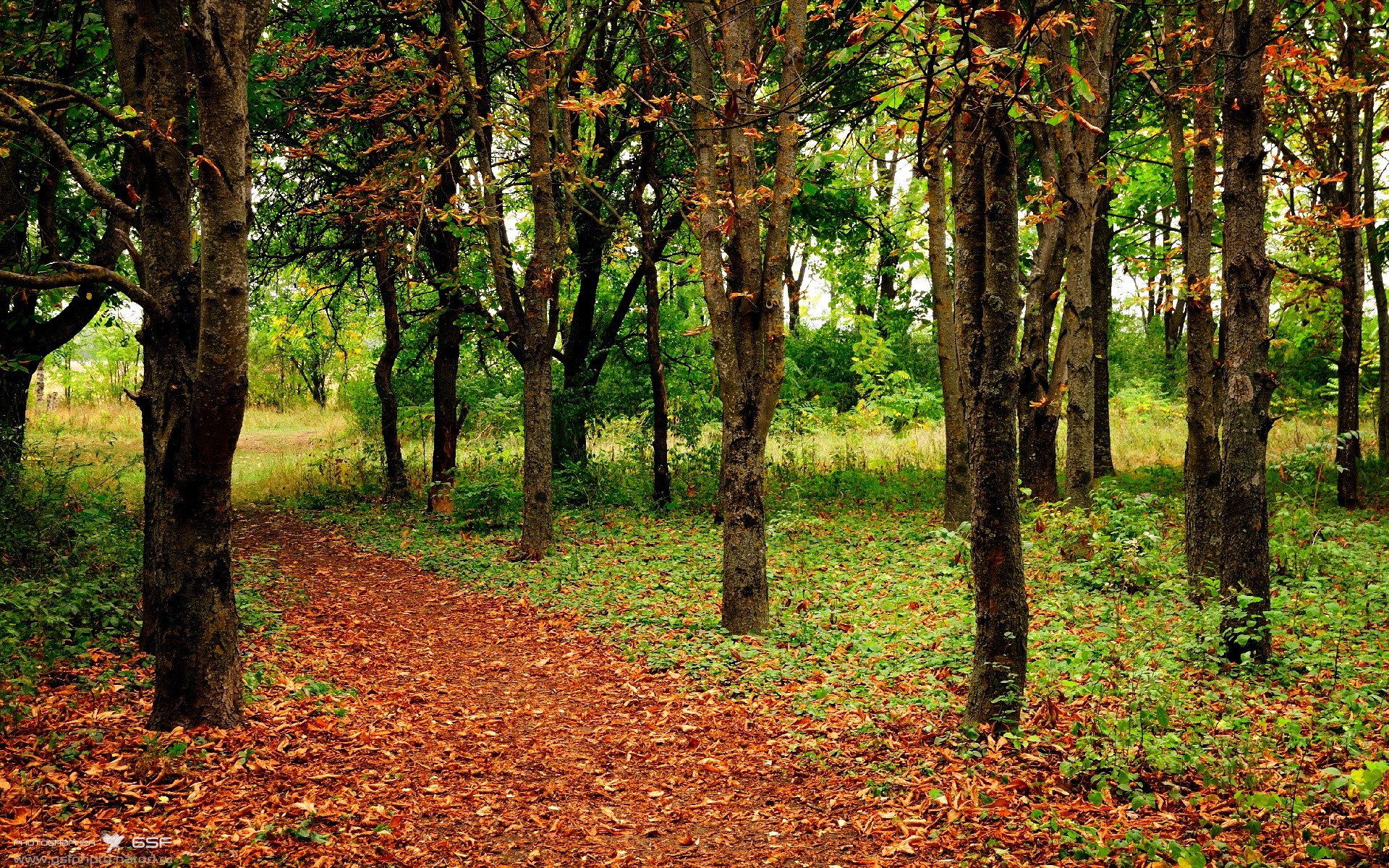 巴黎铁骑提前问鼎，三笘薰过弯超车在F1赛道演绎终极接管