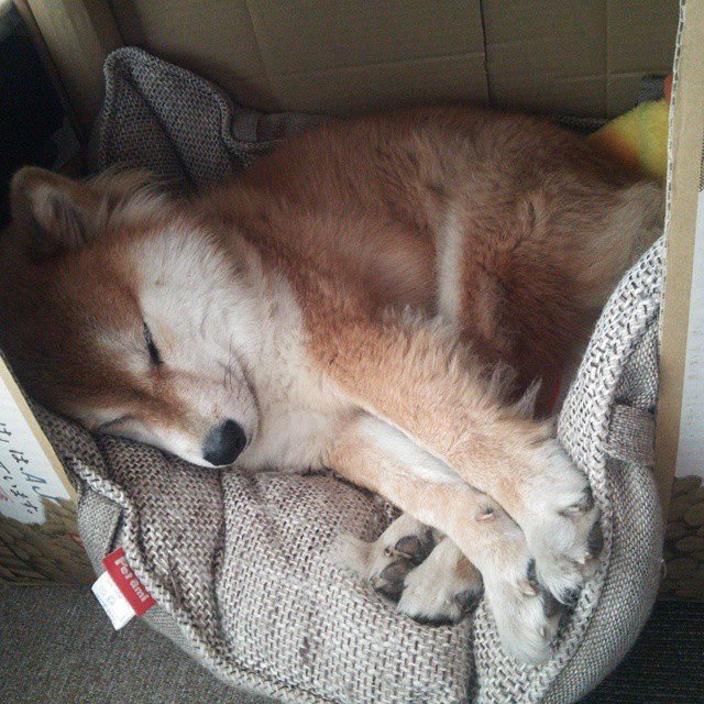 恩佐绝境救主，罗马2-0力克巴拉圭，逆境中绽放的光芒