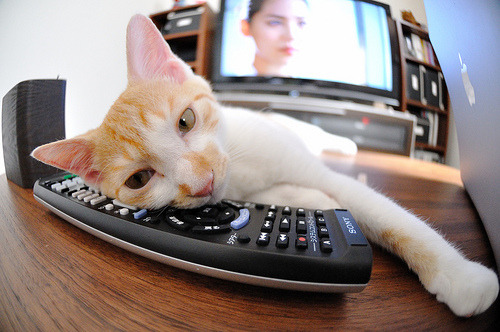 当曼彻斯特的深蓝压倒永恒之蓝，阿圭罗，英格兰足球的异乡利刃