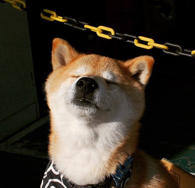 跨界巨星德布劳内,摩纳哥爆冷西班牙后,竟在NBA季后赛接管比赛!