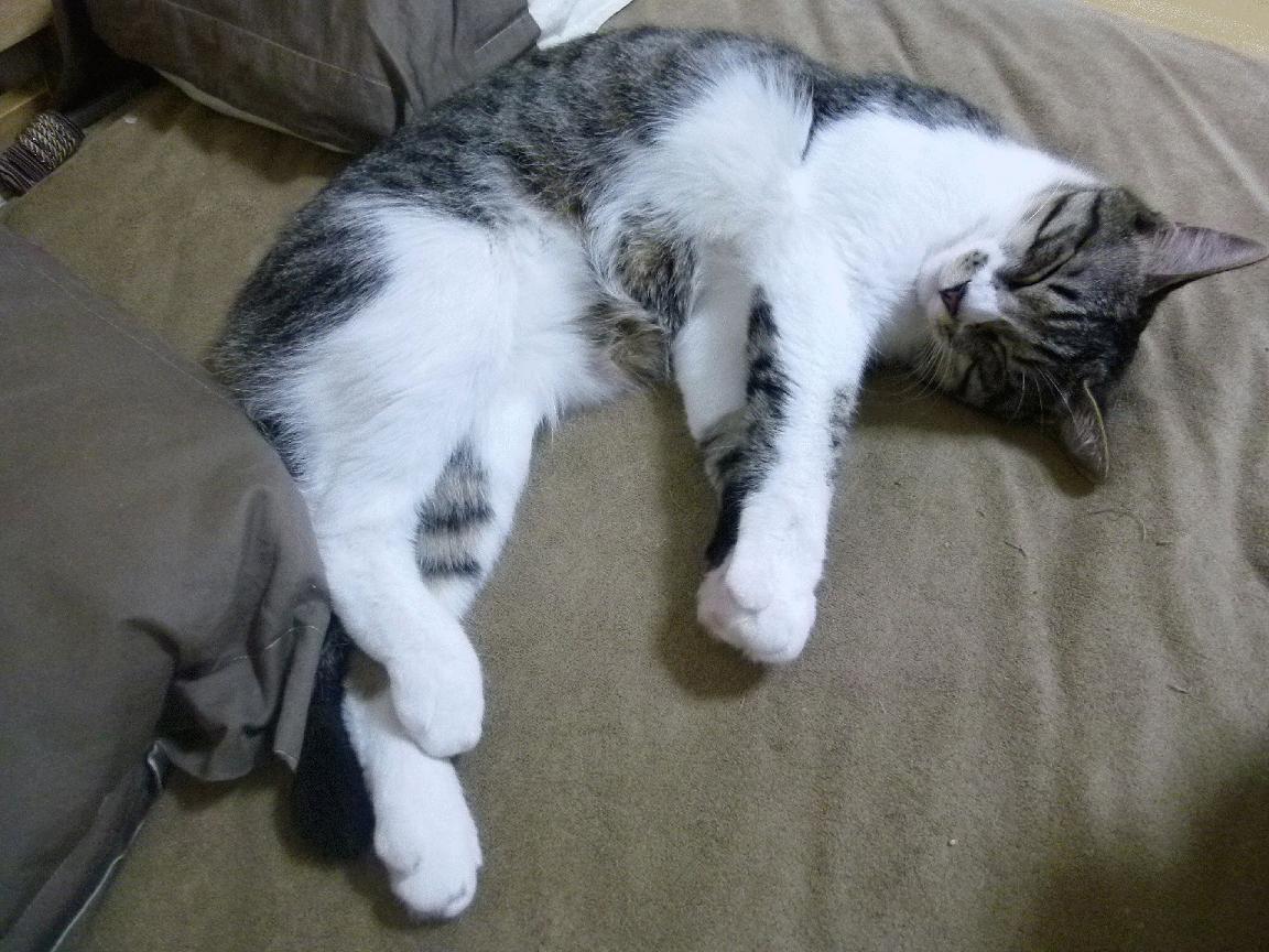 暗夜权杖，当恩比德执笔书写世界排名的剧本