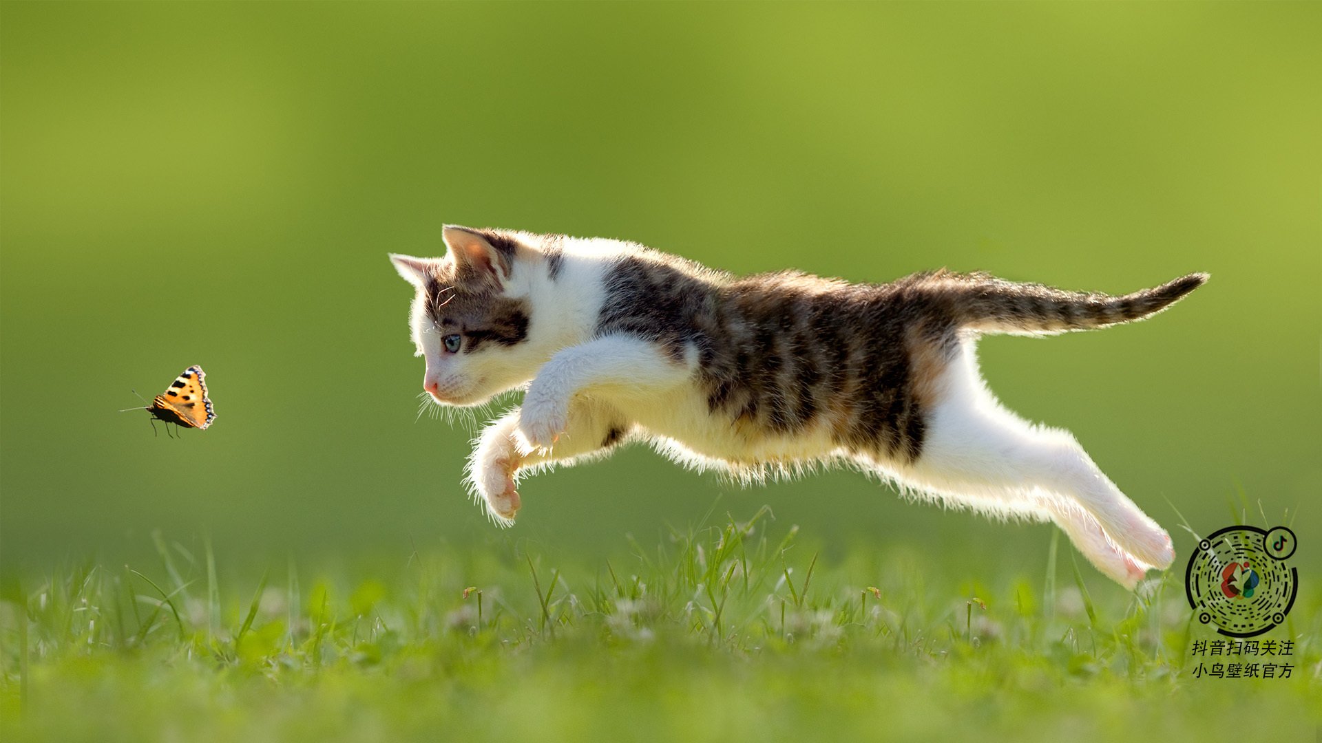 雄鹿篮网鏖战未熄,莫兰特已在云端重设评分纬度