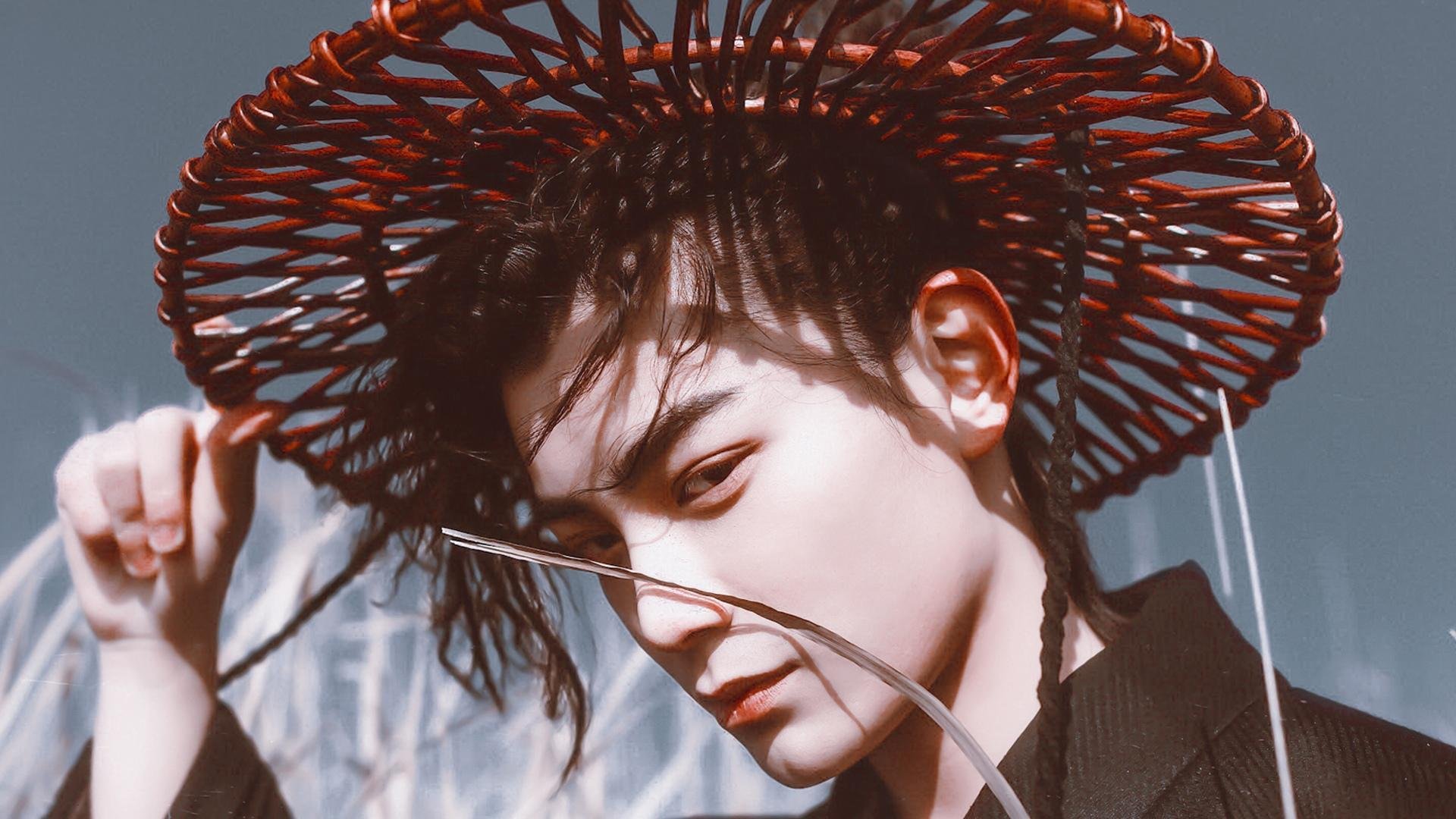 霍勒迪宣告,冠军级的演出,广东队击退黄蜂