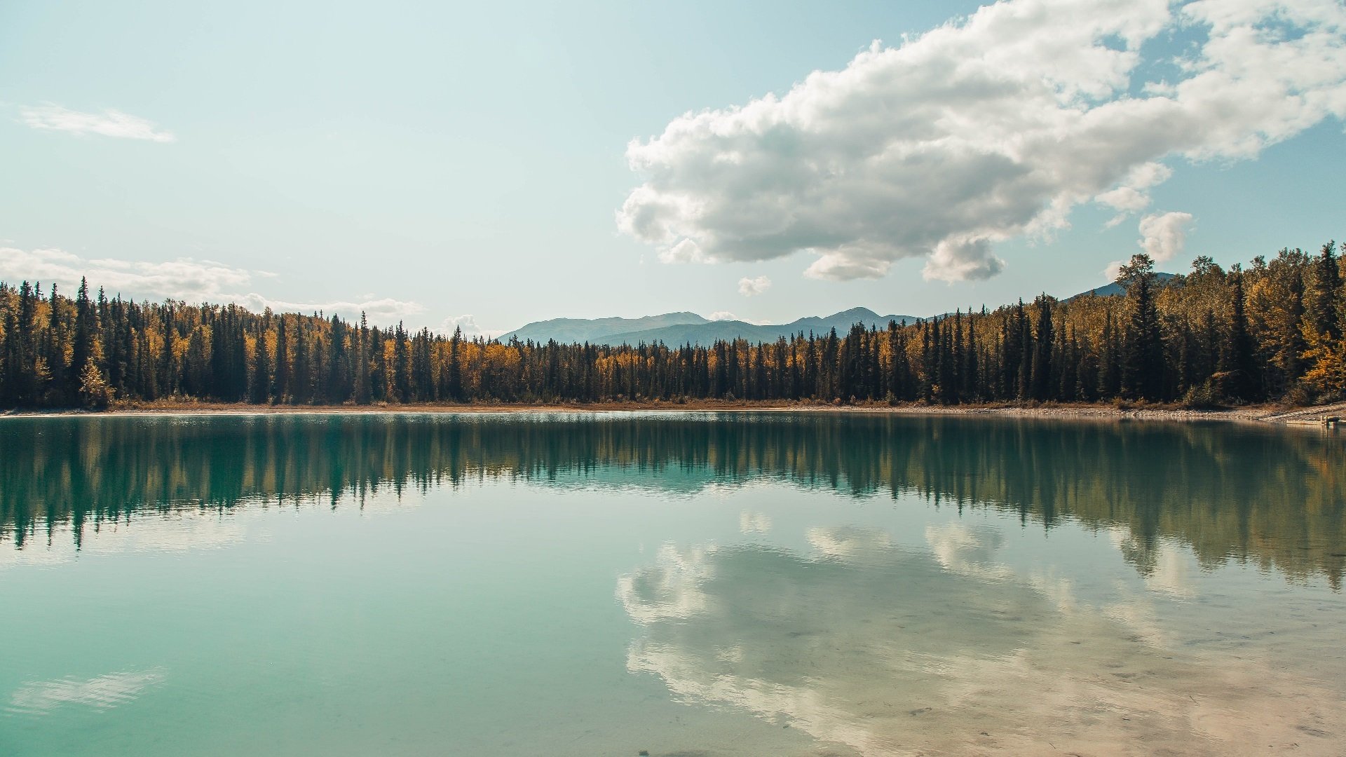 三双掀翻航天城!拉梅洛·鲍尔赛后评分拉满,鹈鹕客场力克火箭