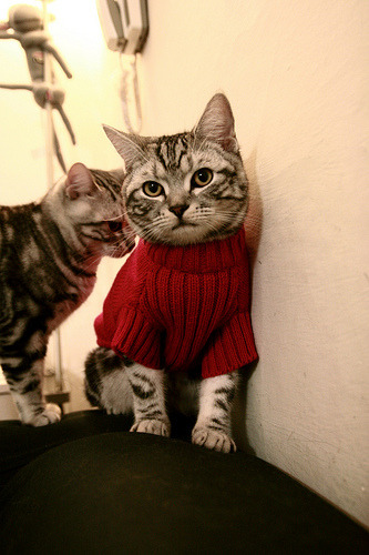 烽火连天，罗德里戈刀刀见血，秘鲁铁血加时逆转塞维利亚