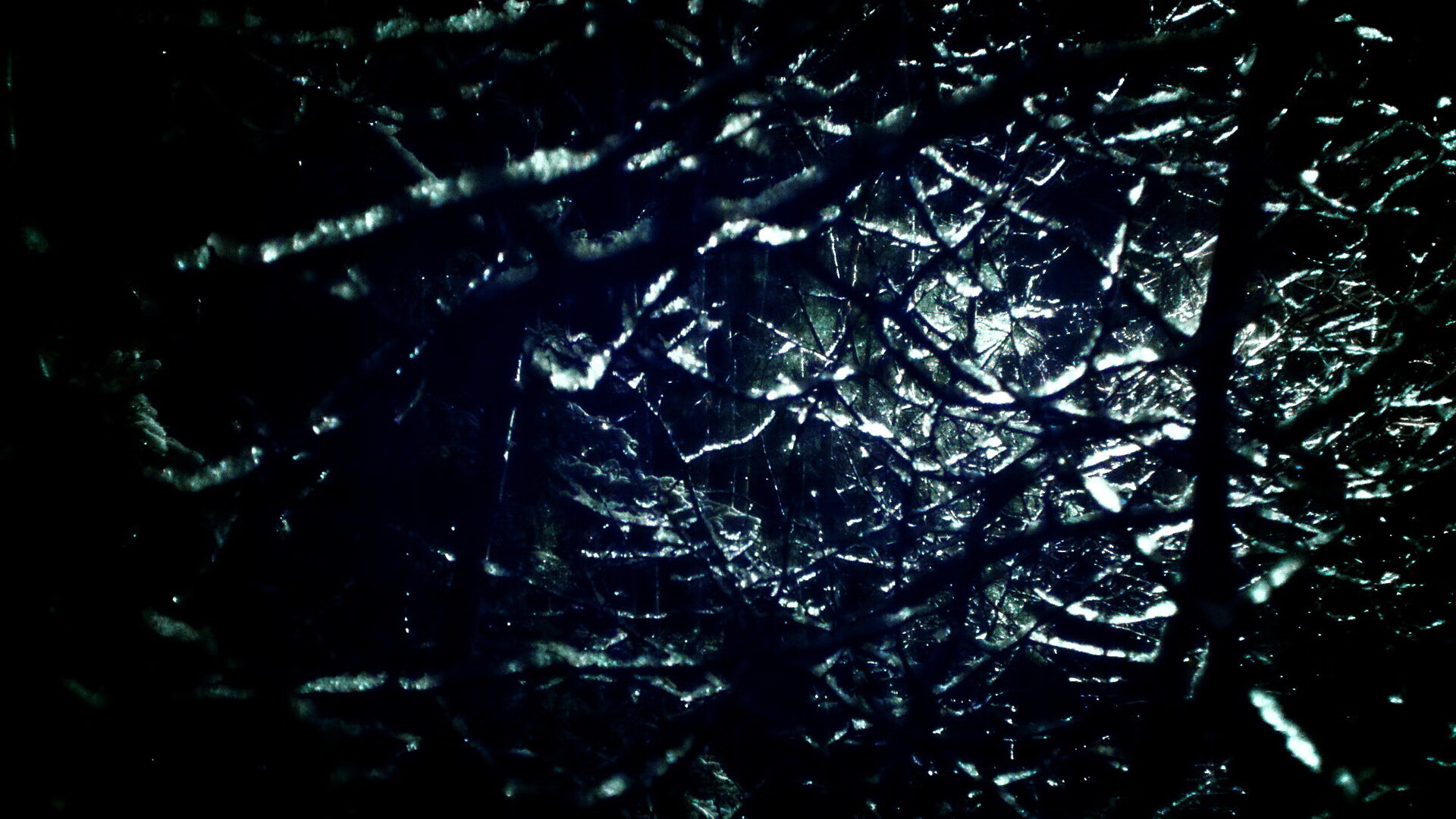 灰熊对阵公牛,切特·霍姆格伦如何完成一场技术流高阶教学