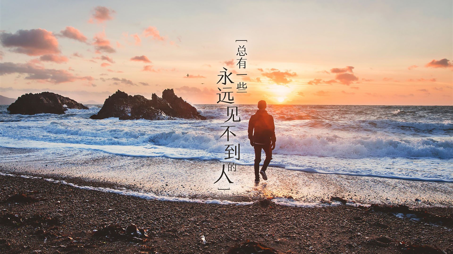 铁血防线 vs 天才一击，努涅斯照亮委内瑞拉压制哥伦比亚之夜