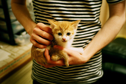 太阳鏖战活塞，布伦森在命运的熔炉中淬炼成钢