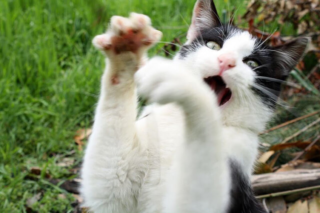 两种接管，同一种胜利基因，当广厦逆转时，历史总在重演