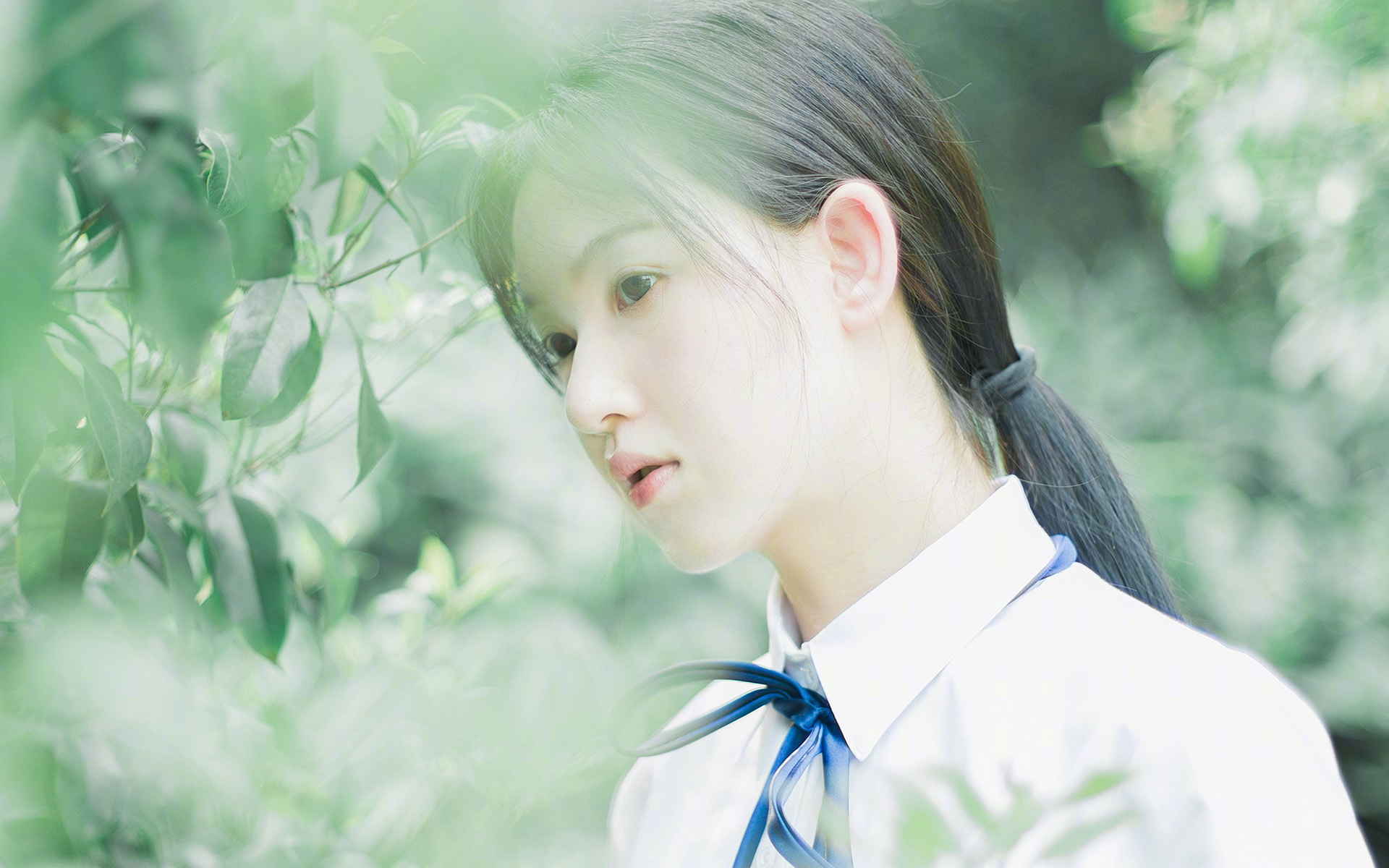 孤独的史诗，当鹈鹕在CBA的冷雨中独行，与詹姆斯在NBA的王座上嗜血