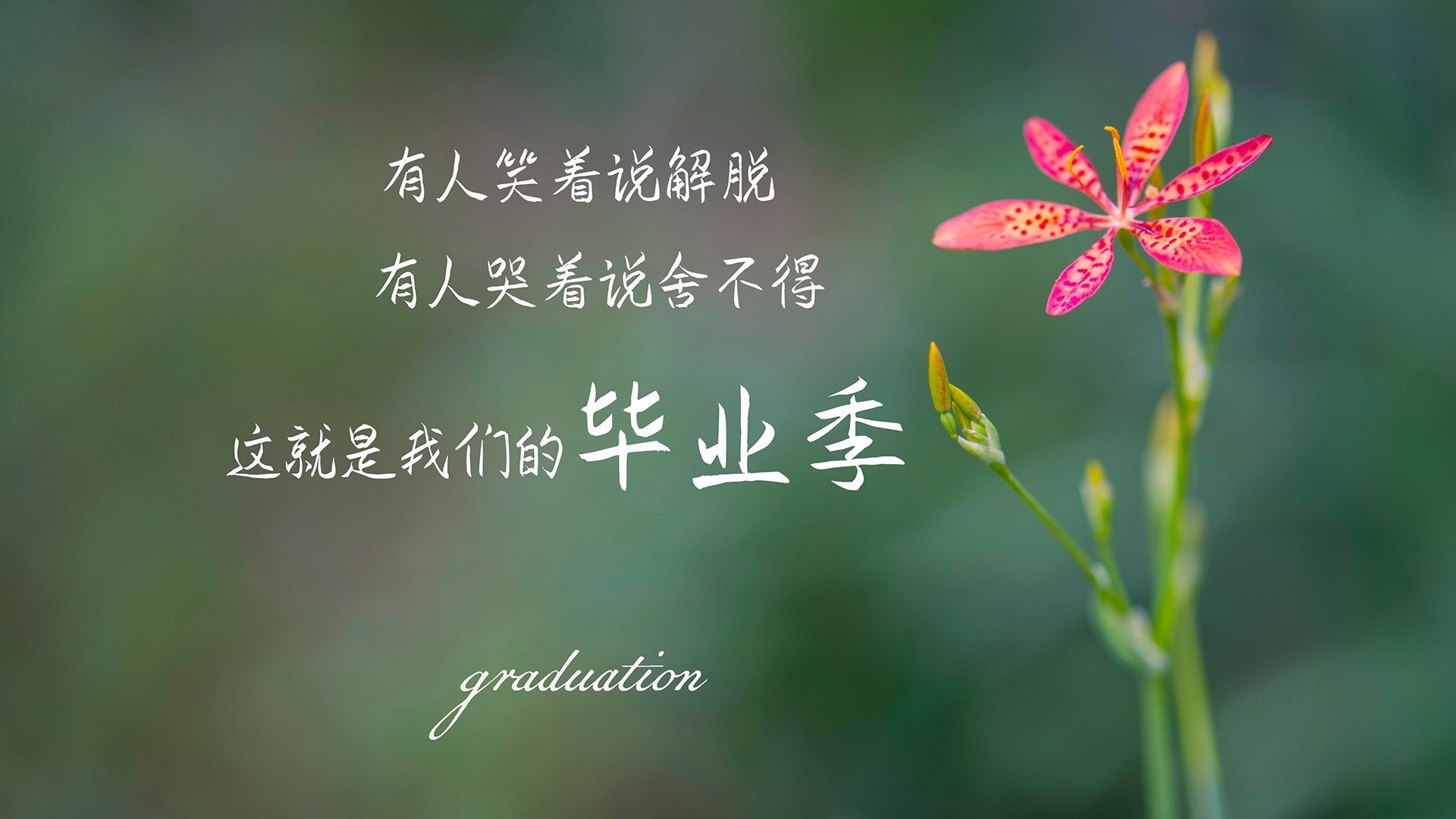 奥运生死夜，爱德华兹以一人之力改写剧本，23次单挑，5次关键封盖，美国男篮的孤胆英雄时刻