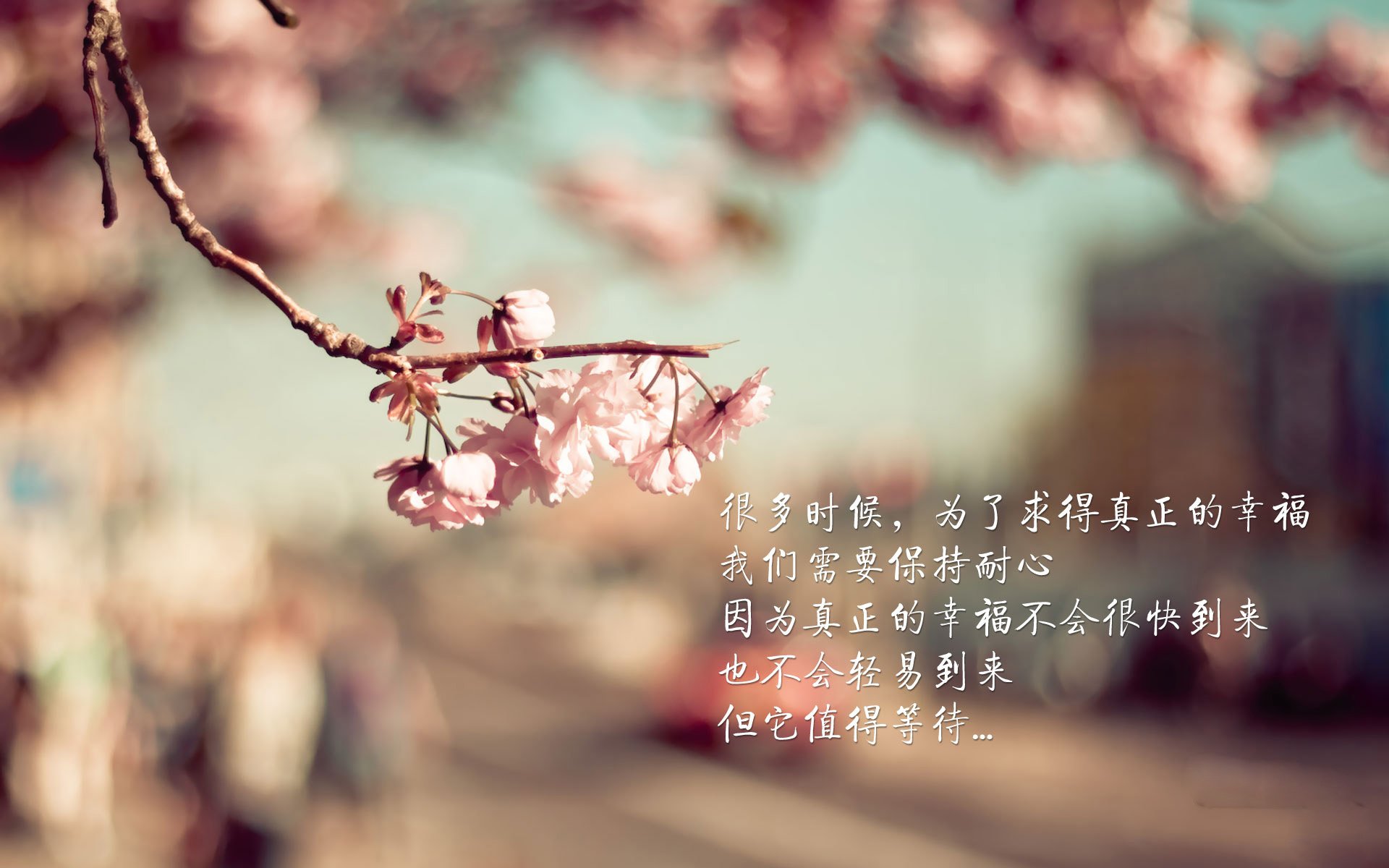 迦太基之鹰刺穿印度洋,卢卡库铸剑,突尼斯在2026世界杯H组写下一行铁与血的绝唱