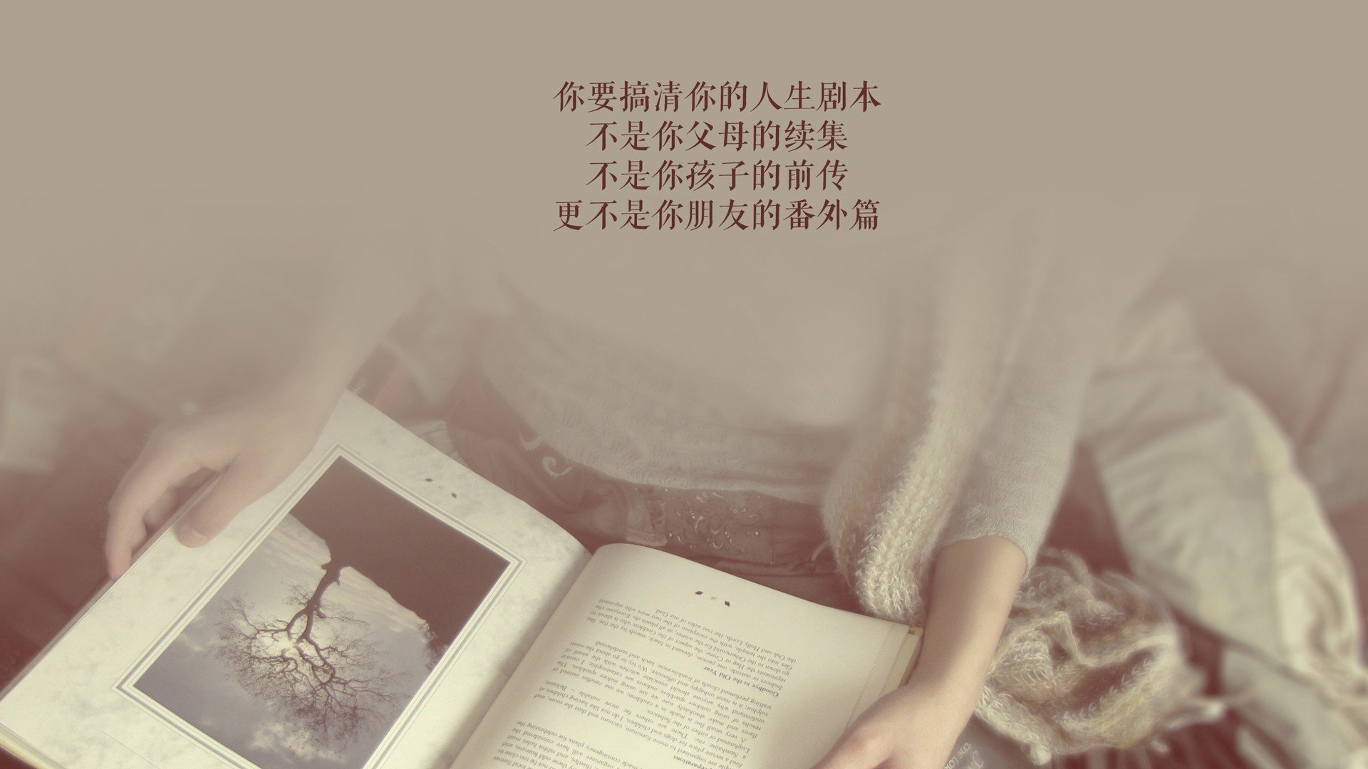 (可选方案)