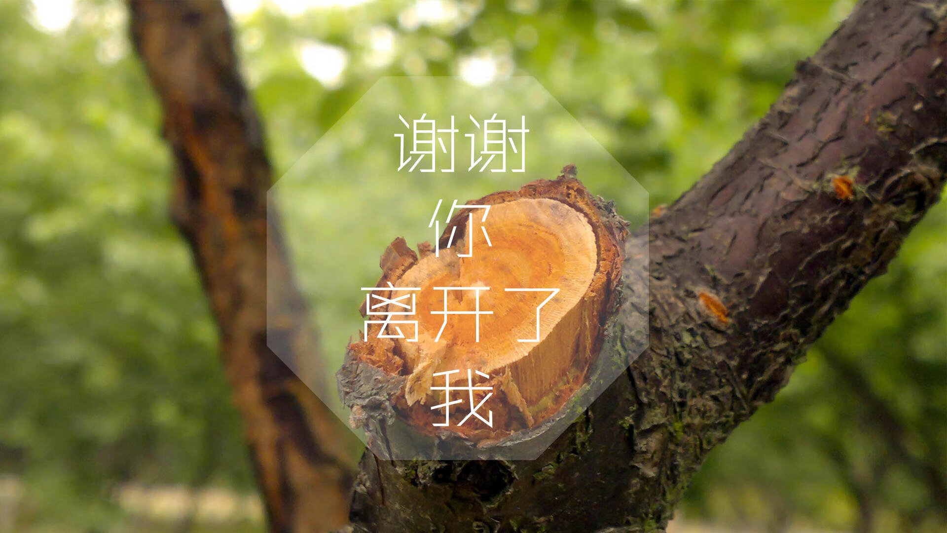 孤星之战,2026世界杯生死夜,印度铁骑踏碎乌拉圭,哈基米绝命一击定乾坤
