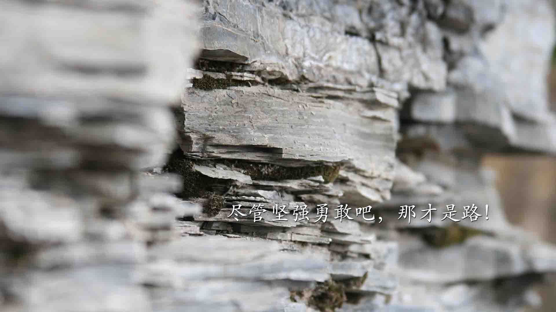南美双雄,欧洲之魂,范戴克如何用铁血防守定义2026世界杯E组唯一篇章